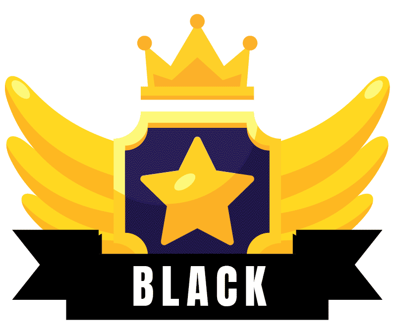 LearnX Black Belt Icon