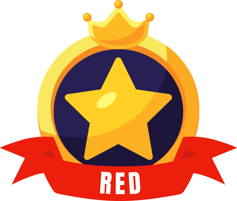 LearnX Red Belt Icon